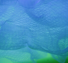 I trend del Document Capture