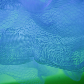 I trend del Document Capture