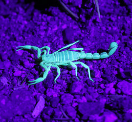 Data Poisoning Documentale: quando l’attacco non ruba dati, ma altera la realtà