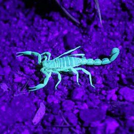 Data Poisoning Documentale: quando l’attacco non ruba dati, ma altera la realtà