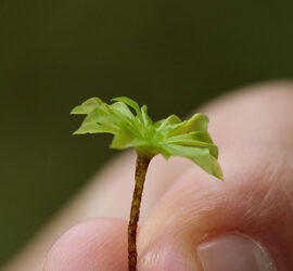 Dalla promessa green alla circolarità misurabile: il futuro sostenibile del printing
